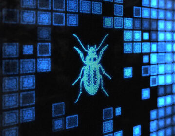 A Bug’s Tale: All About Software Bugs & Vulnerabilities