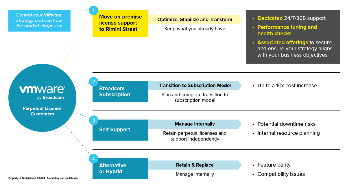 Third-party support with rimini street